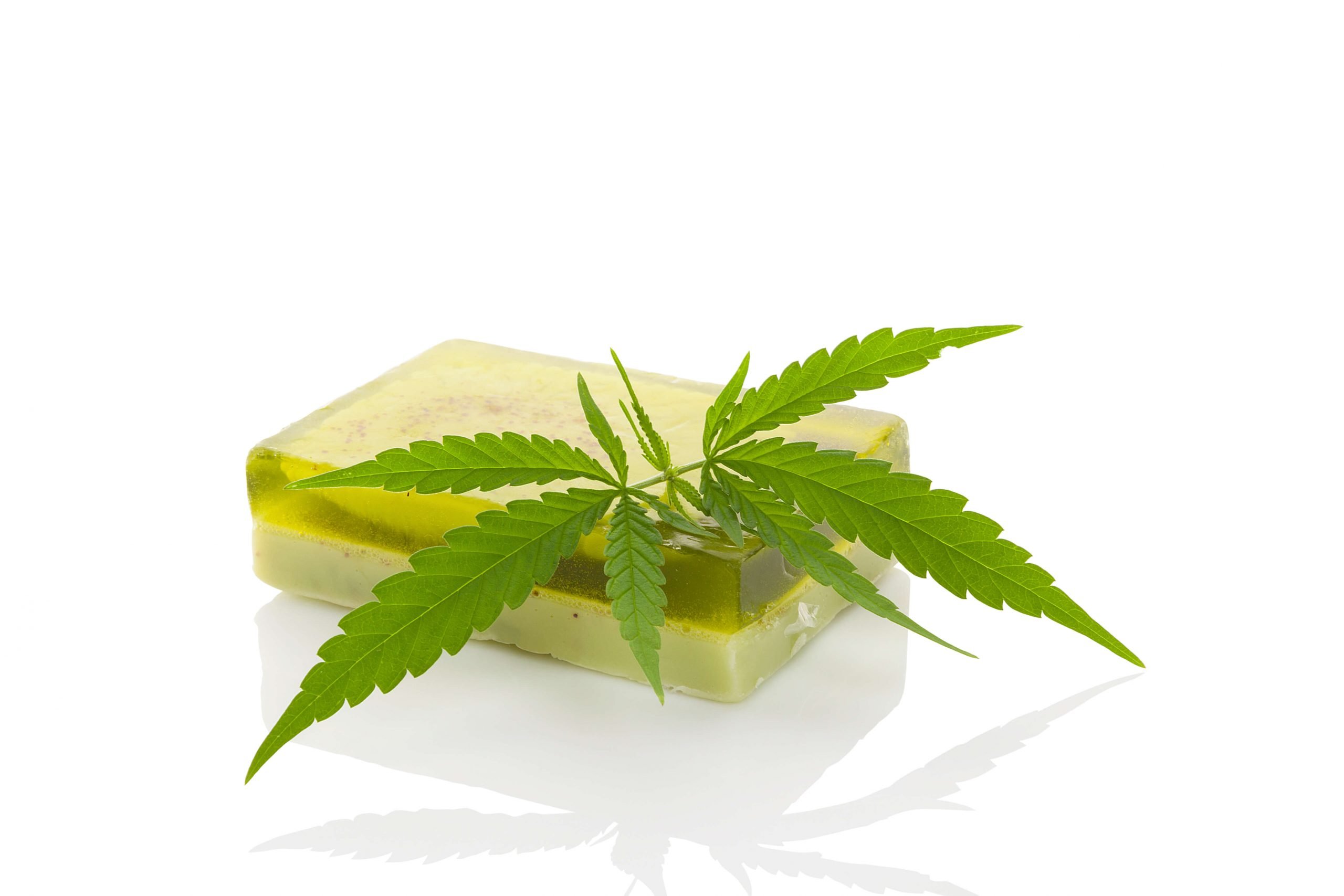Why You Should Add Hemp Soap to Your Beauty Routine?