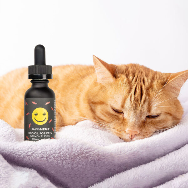 a cat sleeping beside cbd oil bottle